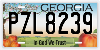 GA license plate PZL8239