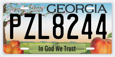GA license plate PZL8244