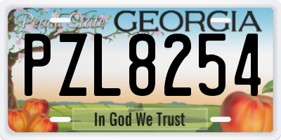 GA license plate PZL8254