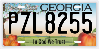 GA license plate PZL8255
