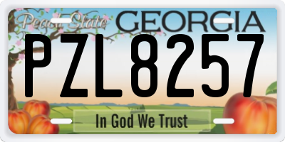 GA license plate PZL8257