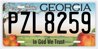 GA license plate PZL8259