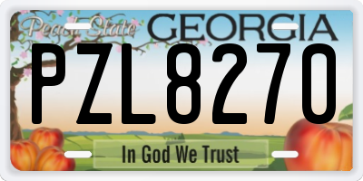 GA license plate PZL8270