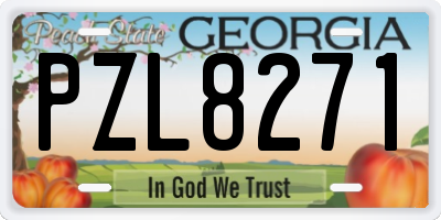 GA license plate PZL8271