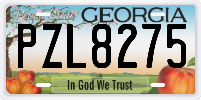 GA license plate PZL8275