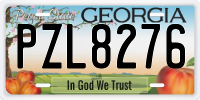 GA license plate PZL8276