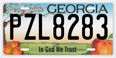 GA license plate PZL8283