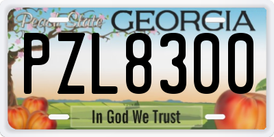 GA license plate PZL8300