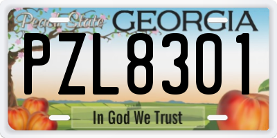 GA license plate PZL8301
