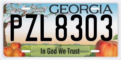 GA license plate PZL8303