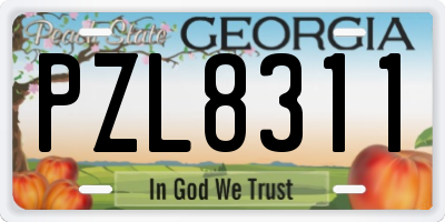 GA license plate PZL8311