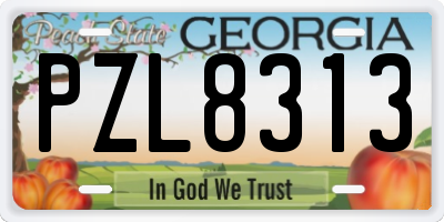 GA license plate PZL8313