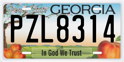 GA license plate PZL8314
