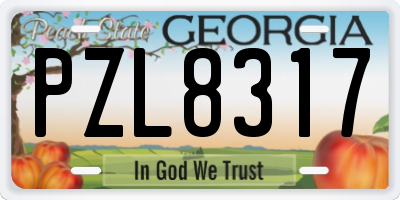 GA license plate PZL8317
