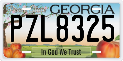 GA license plate PZL8325