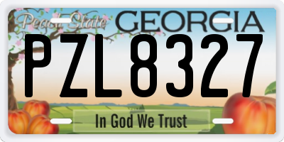 GA license plate PZL8327