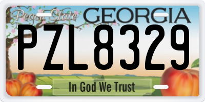 GA license plate PZL8329