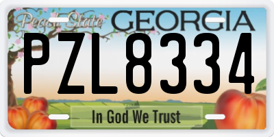 GA license plate PZL8334
