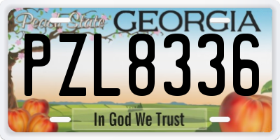GA license plate PZL8336