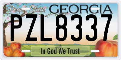 GA license plate PZL8337