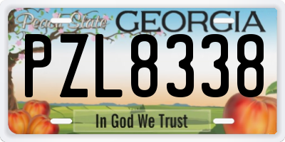GA license plate PZL8338