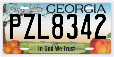 GA license plate PZL8342