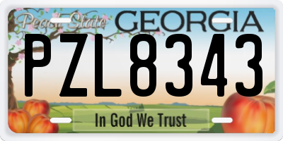 GA license plate PZL8343