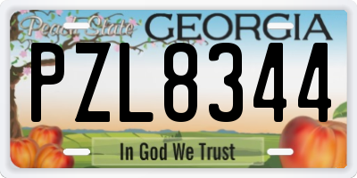 GA license plate PZL8344