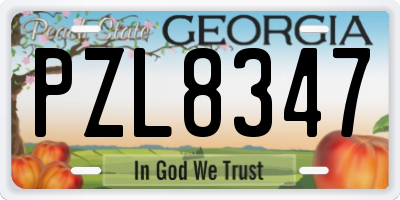GA license plate PZL8347