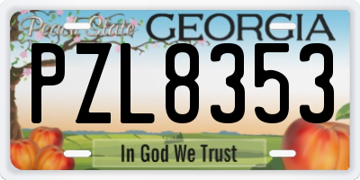 GA license plate PZL8353