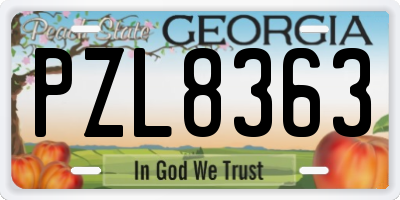 GA license plate PZL8363