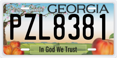 GA license plate PZL8381