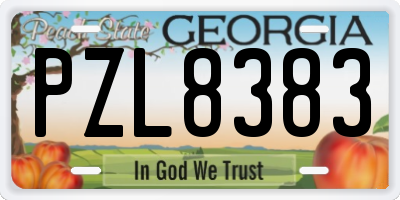 GA license plate PZL8383