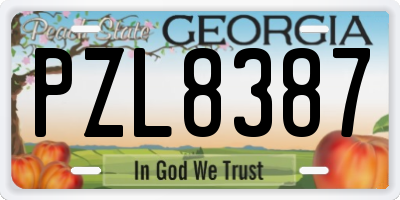 GA license plate PZL8387