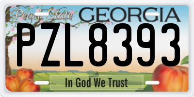 GA license plate PZL8393