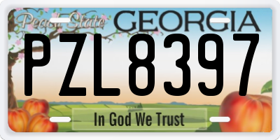 GA license plate PZL8397