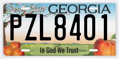 GA license plate PZL8401