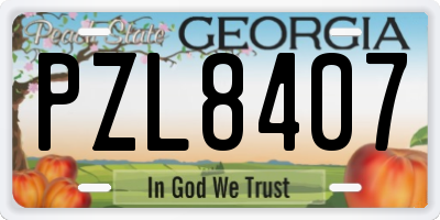 GA license plate PZL8407