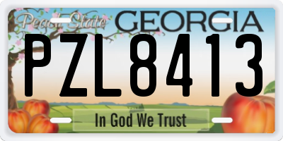 GA license plate PZL8413