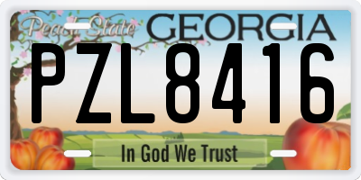 GA license plate PZL8416