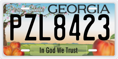 GA license plate PZL8423