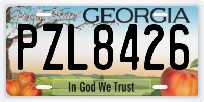 GA license plate PZL8426