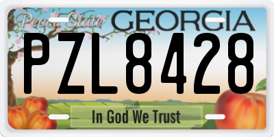 GA license plate PZL8428