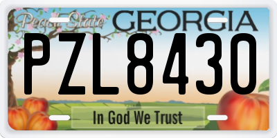GA license plate PZL8430