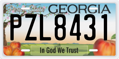 GA license plate PZL8431