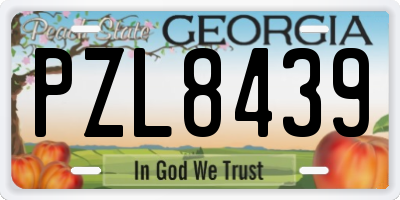 GA license plate PZL8439