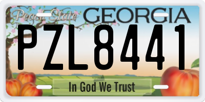 GA license plate PZL8441