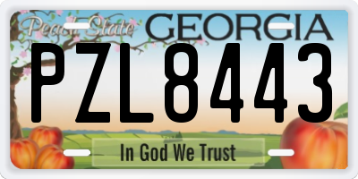 GA license plate PZL8443