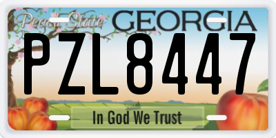 GA license plate PZL8447