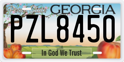 GA license plate PZL8450